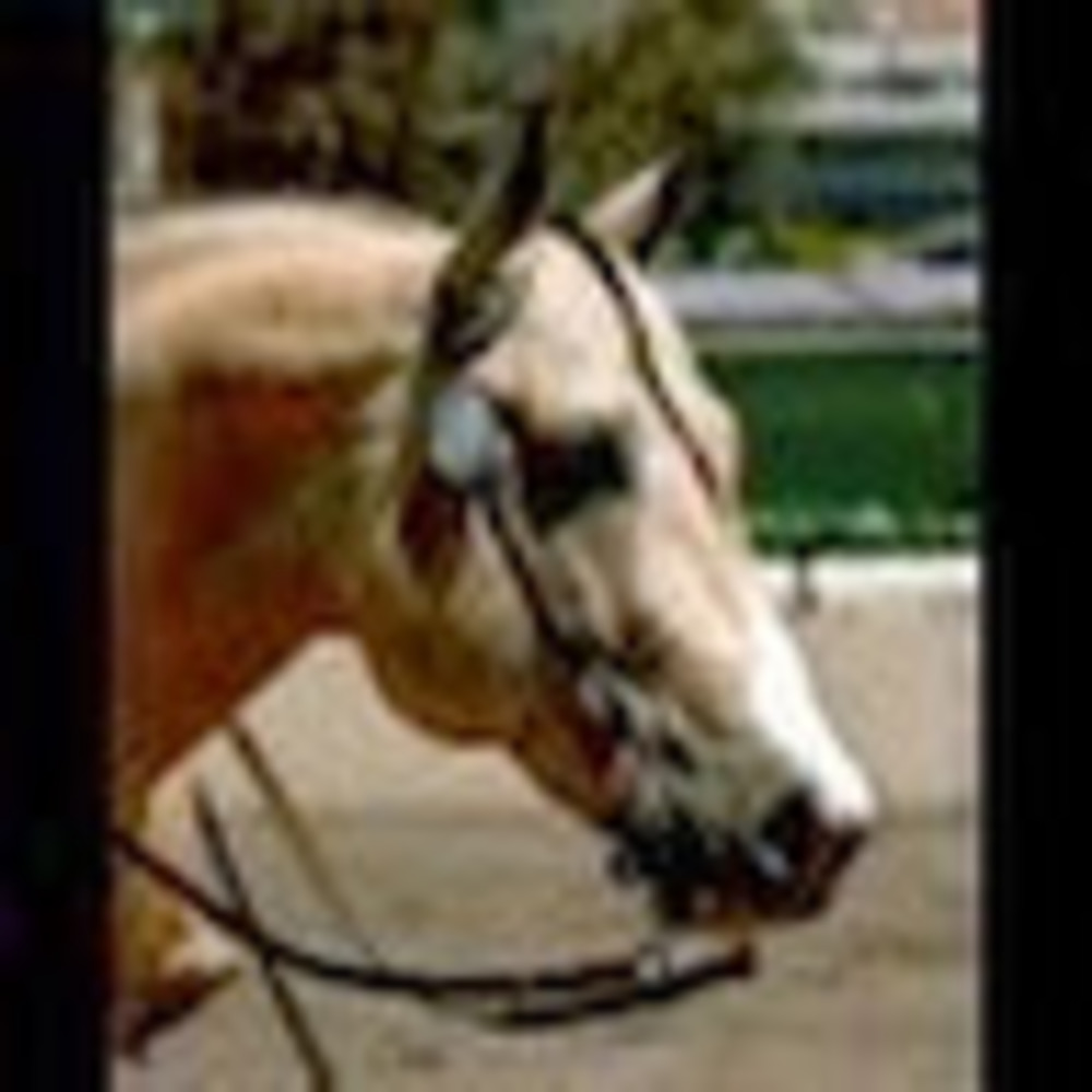 Meet your Posher, Jessica